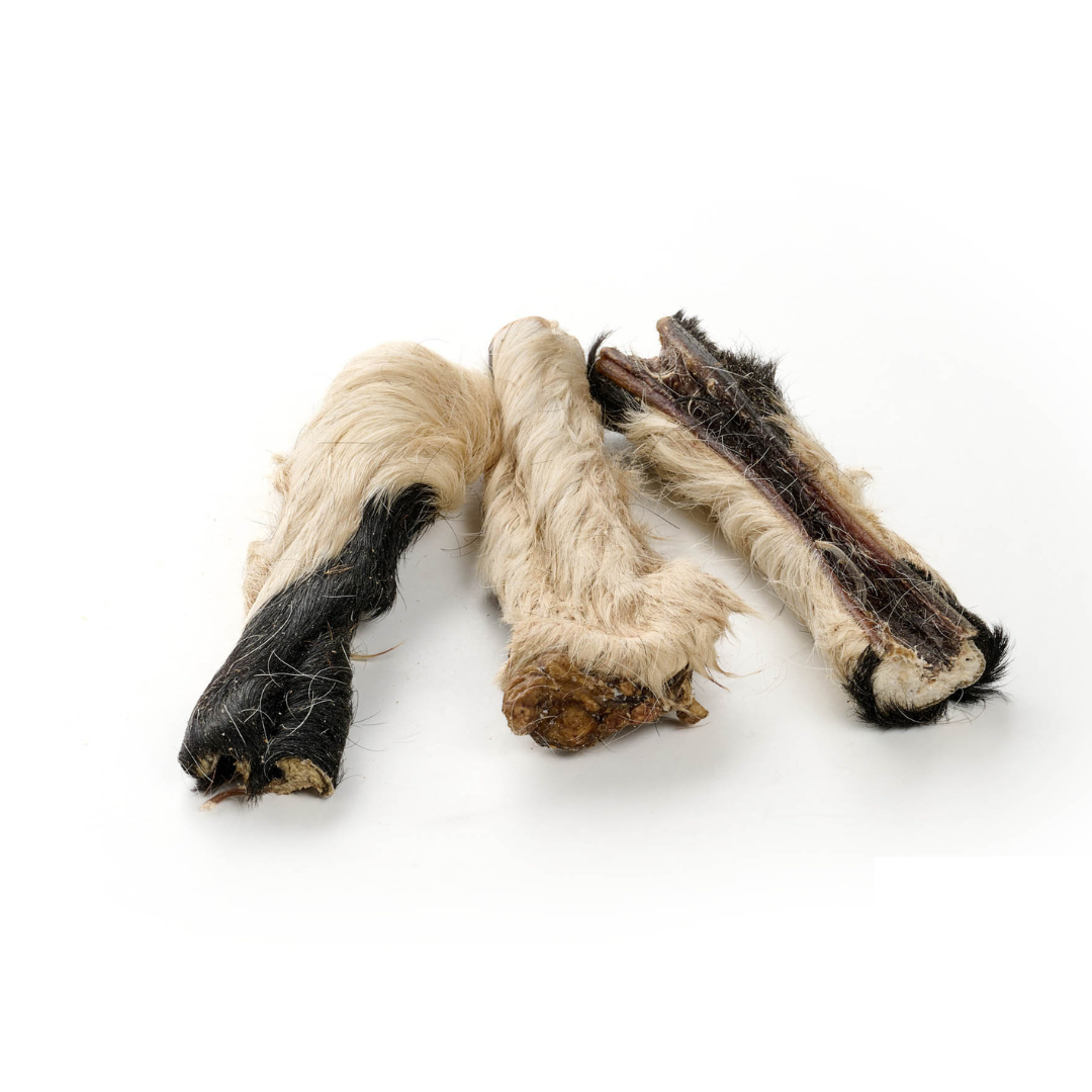 lanières de peau de bœuf mastication chien