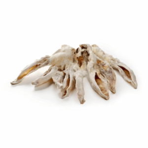 oreilles de lapin avec fourrure mastication chien