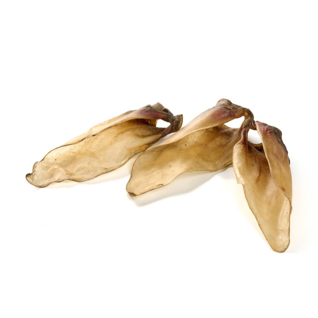 oreilles de veau mastication chien