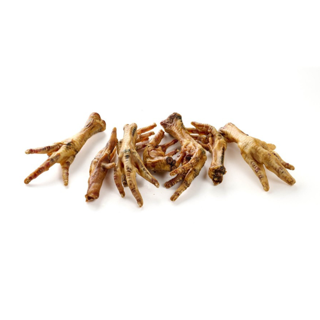 pattes de poulet mastication chien