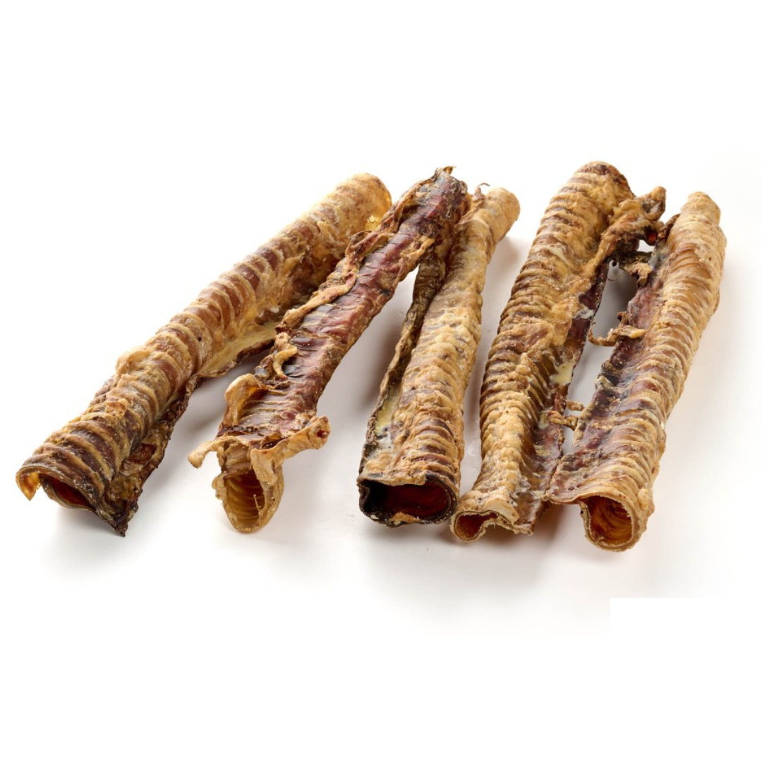trachées de bœuf longues mastication chien