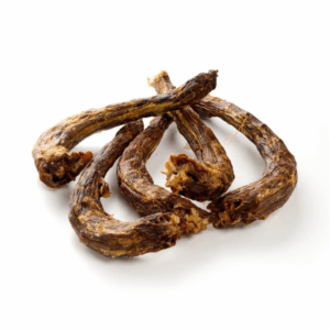 cous de dinde mastication chien