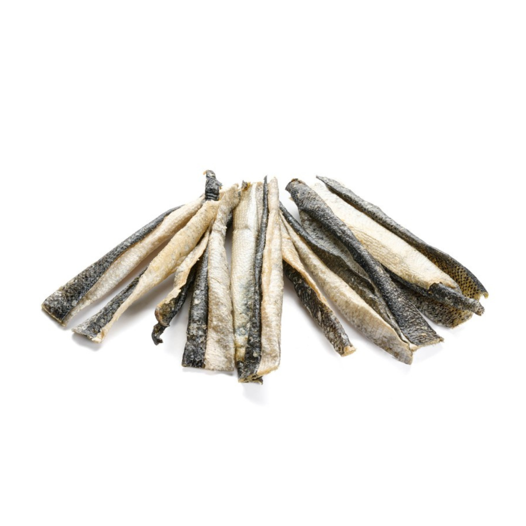 peau de saumon mastication chien chat